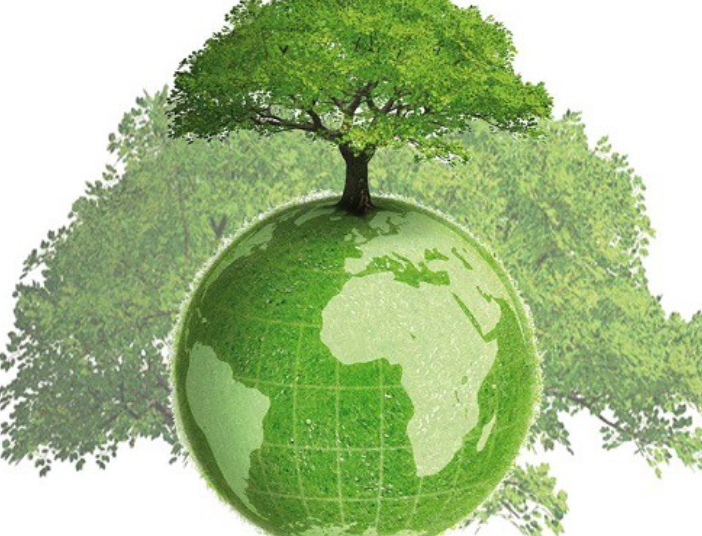 Экологическое образование и просвещение