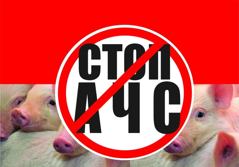 ВНИМАНИЕ! УГРОЗА АЧС!. ВНИМАНИЕ! УГРОЗА АЧС!.
